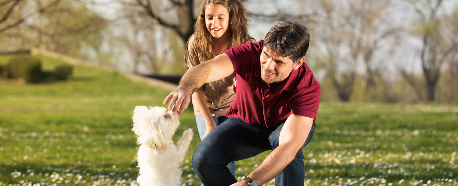 Puppy Training | PuppyTrainedRight.com