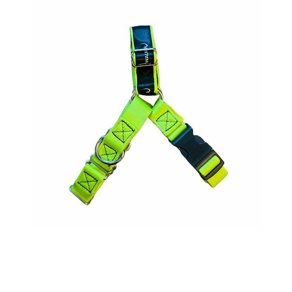 Harnesses