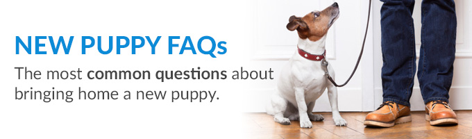 New Puppy FAQs