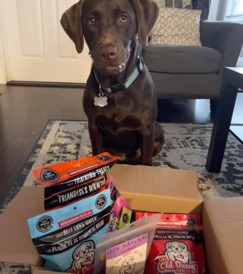 About Old Dawg Treat Co. 