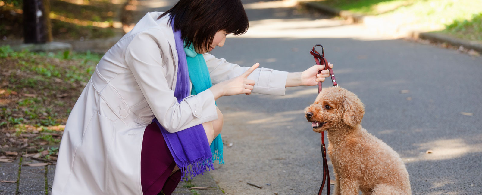 Online Dog Training | PuppyTrainedRight.com 